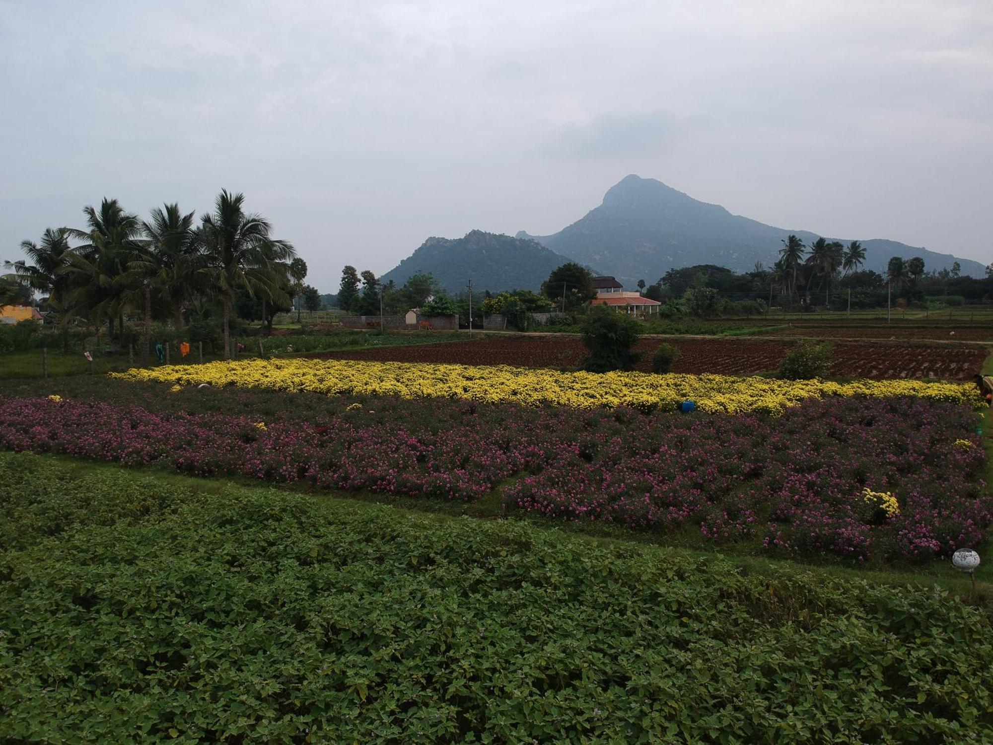 Rpm Home Stay Tiruvannāmalai Eksteriør billede
